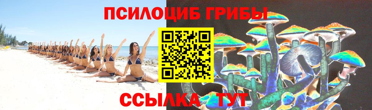 Калуга  Галлюциногенные грибы мухоморы  Вход с VPN  Псилоцибиновые грибы мухоморы 